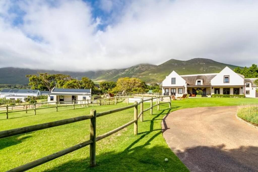 Serene, Thatched Apartment In Noordhoek, ケープタウン エクステリア 写真