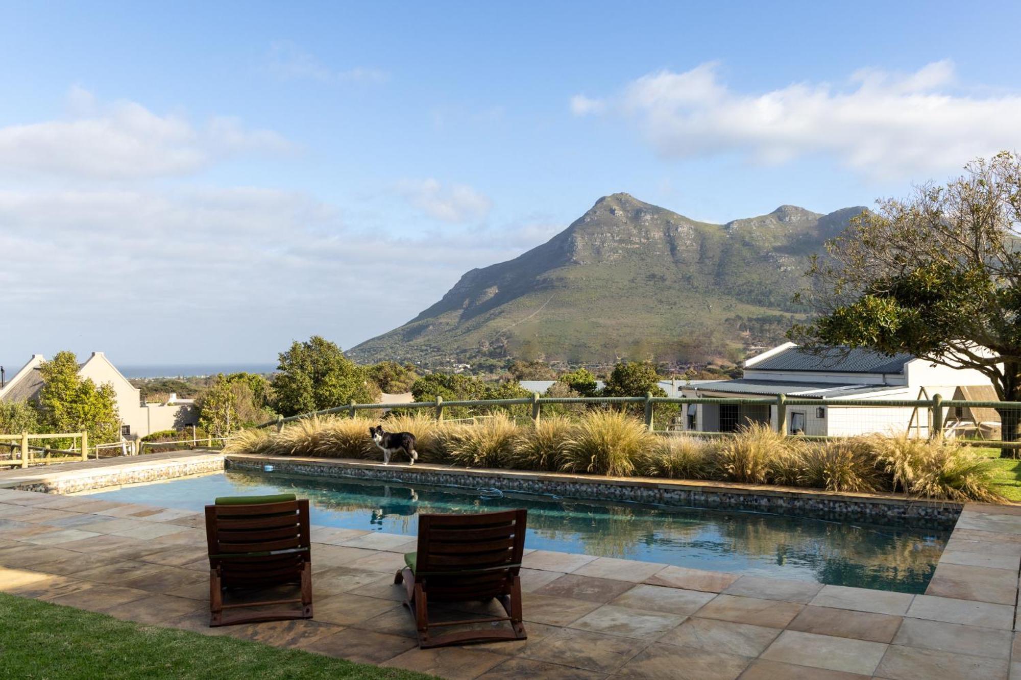 Serene, Thatched Apartment In Noordhoek, ケープタウン エクステリア 写真