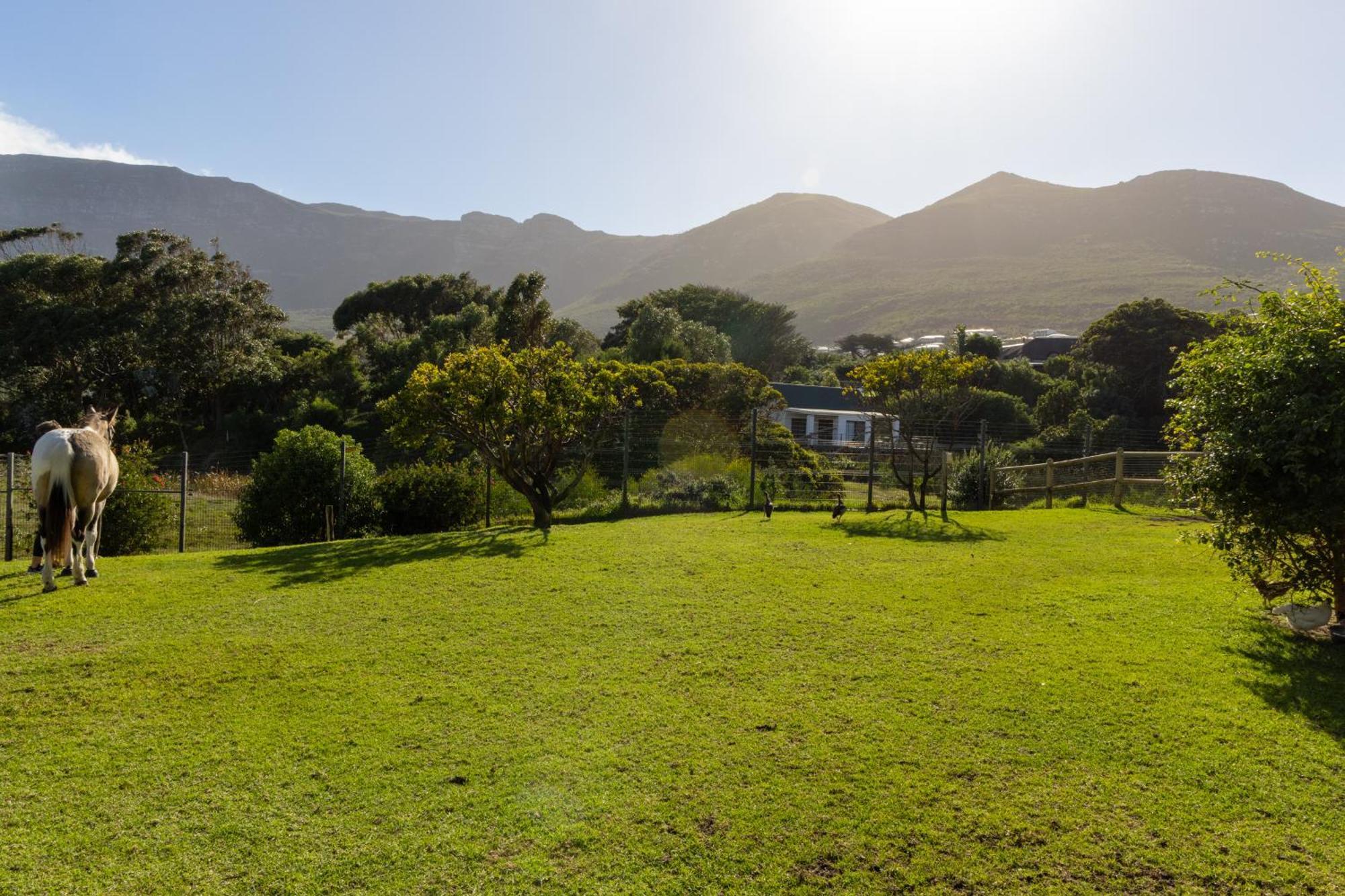 Serene, Thatched Apartment In Noordhoek, ケープタウン エクステリア 写真