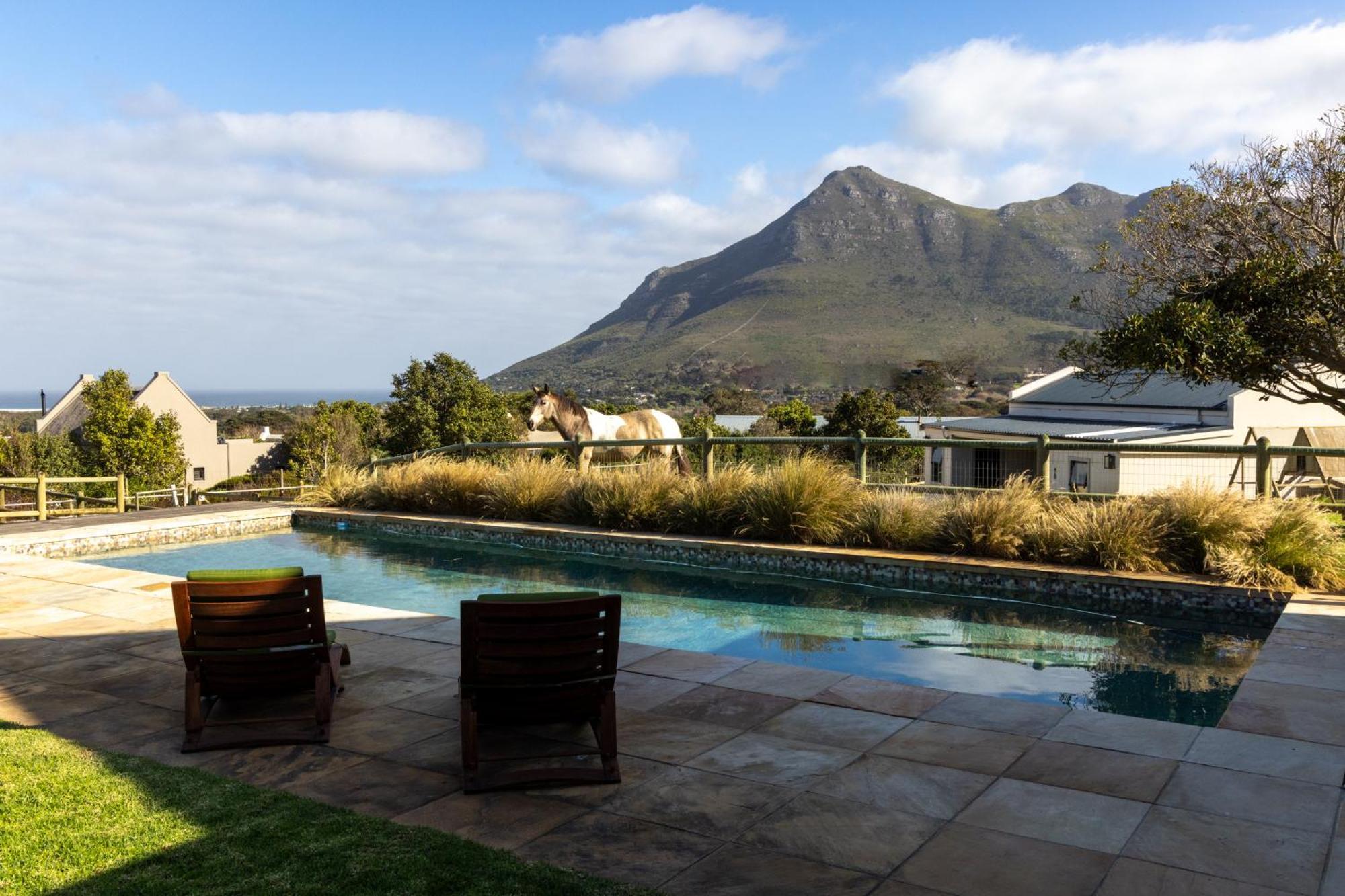 Serene, Thatched Apartment In Noordhoek, ケープタウン エクステリア 写真